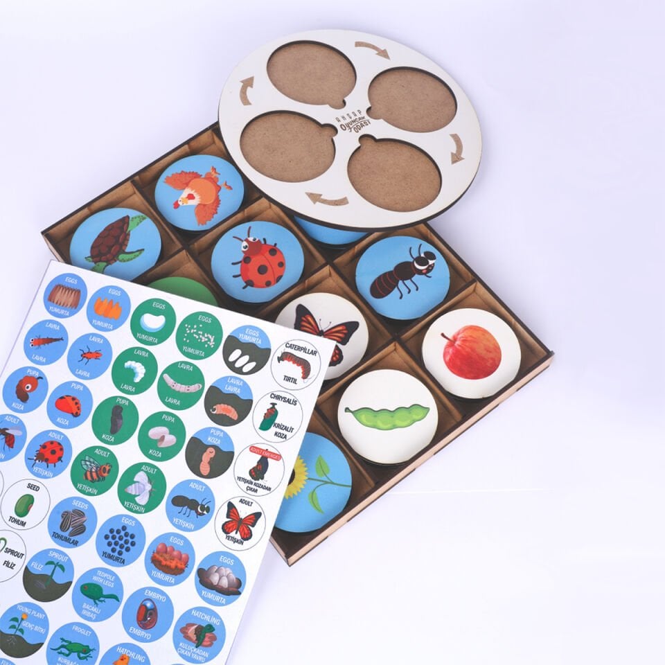 Montessori Ahşap Yaşam Döngüsü