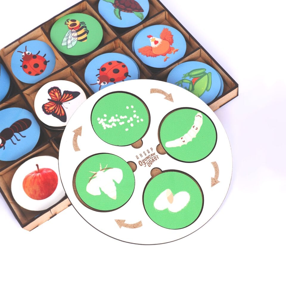 Montessori Ahşap Yaşam Döngüsü