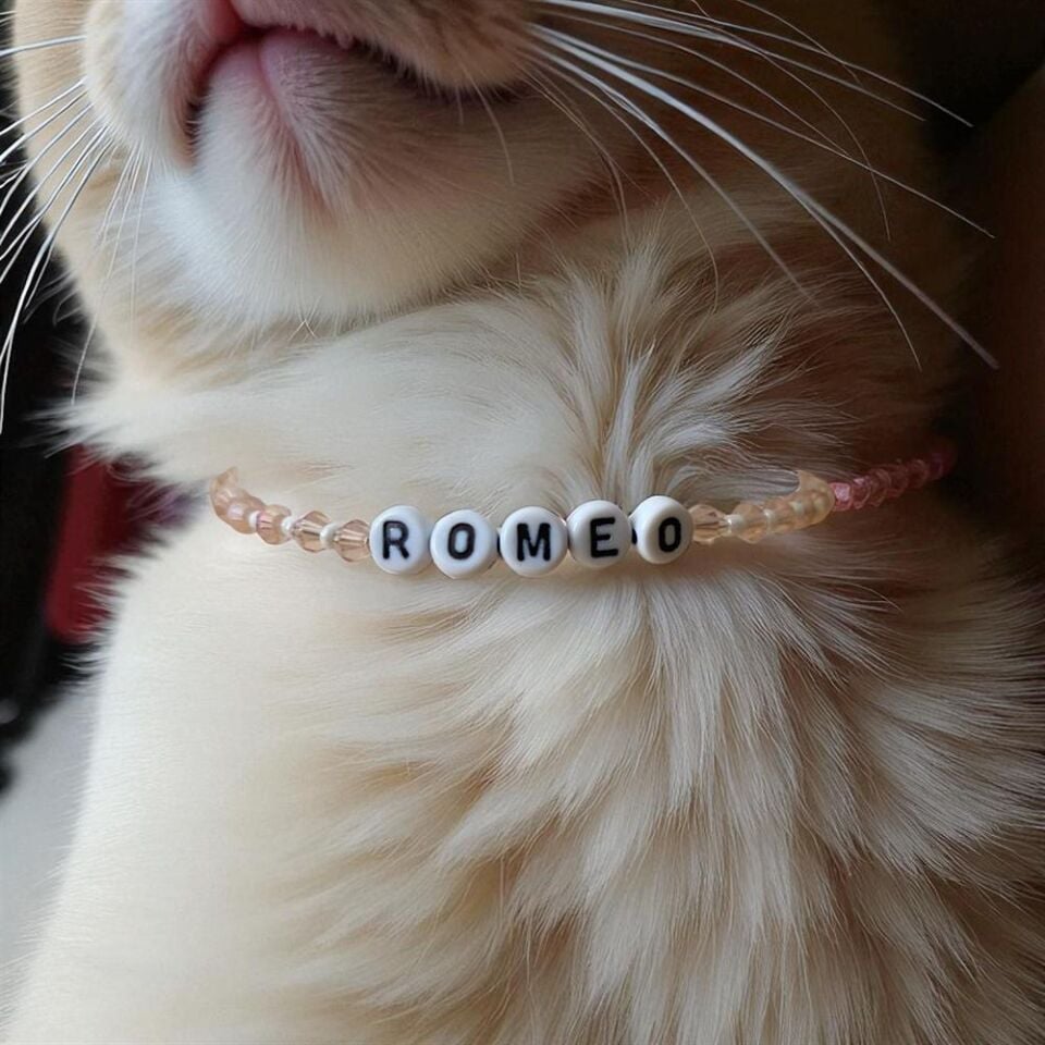 İsma Özel Tasarım Kedi Köpek Tasması